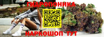 jwh Будённовск