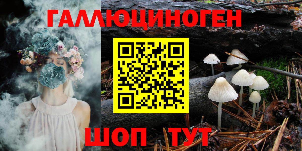 Псилоцибиновые грибы Cubensis Карабулак