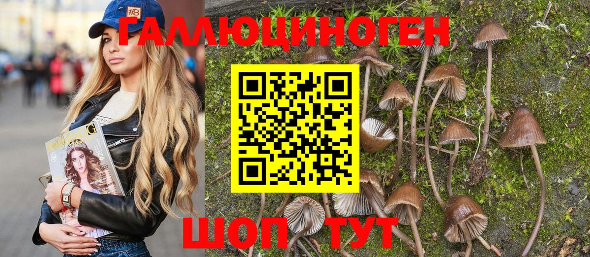 Карабулак  Галлюциногенные грибы мухоморы  Галлюциногенные грибы мицелий  Вход с VPN 